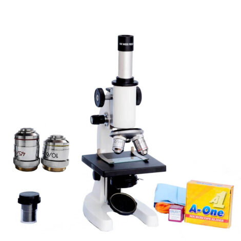 compound microscope