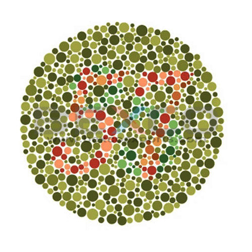 Ishihara Color  Test Book